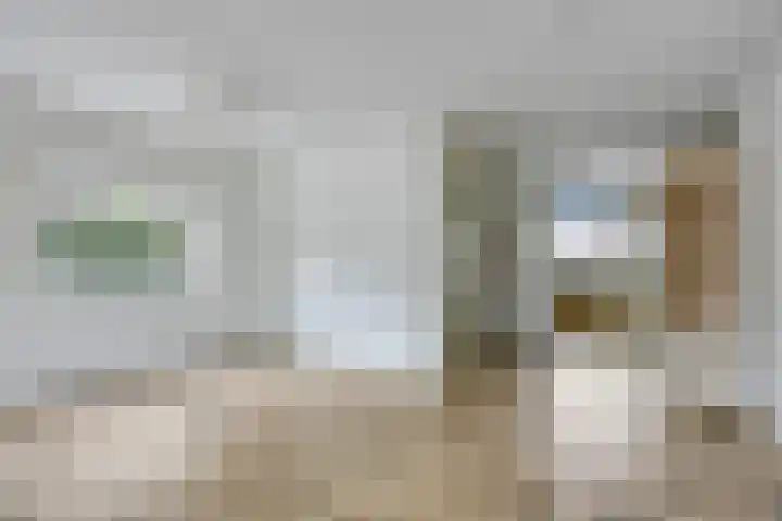 Hoefijzer 17 Zwaag thumbnail 13