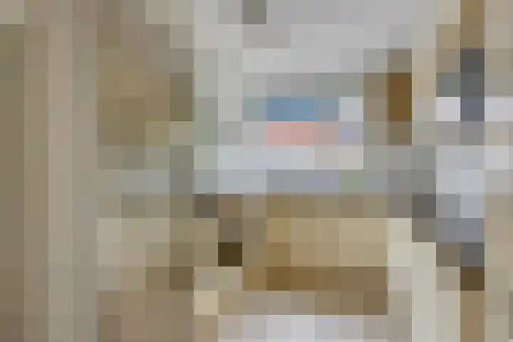 Hoefijzer 17 Zwaag thumbnail 15