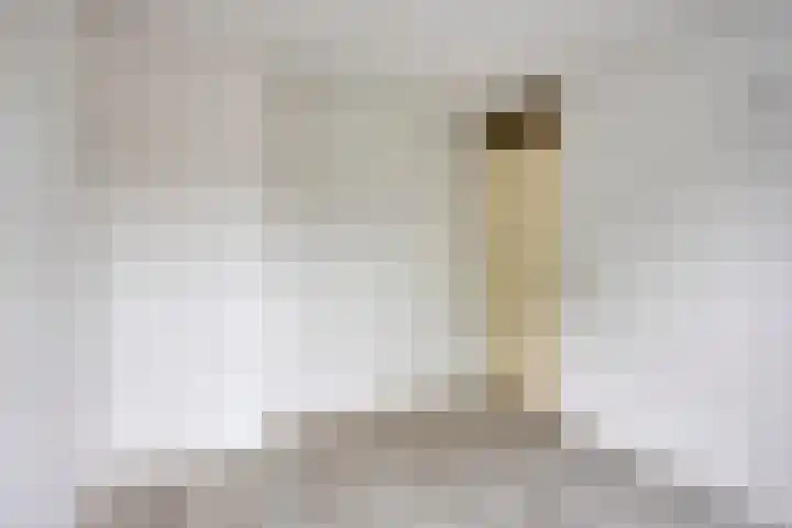 Hoefijzer 17 Zwaag thumbnail 18