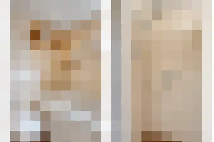 Hoefijzer 17 Zwaag thumbnail 26