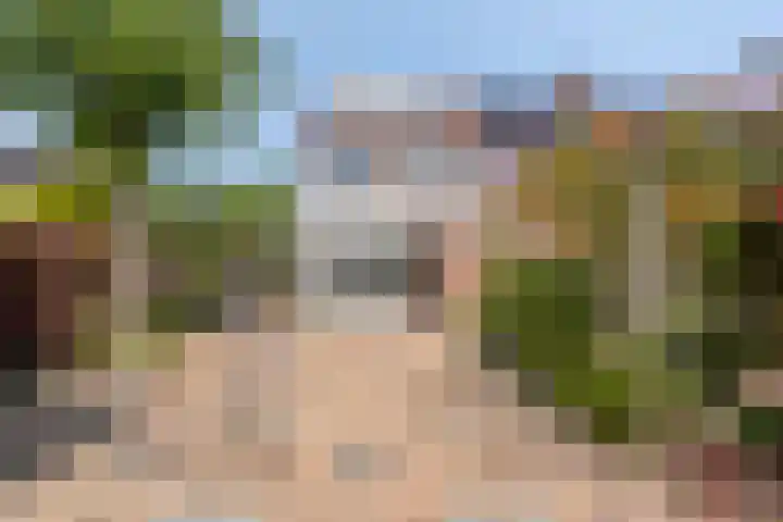 Hoefijzer 17 Zwaag thumbnail 31