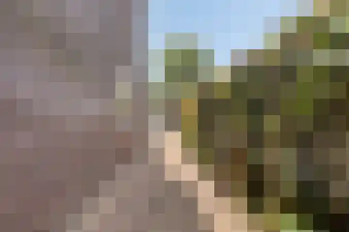 Hoefijzer 17 Zwaag thumbnail 34