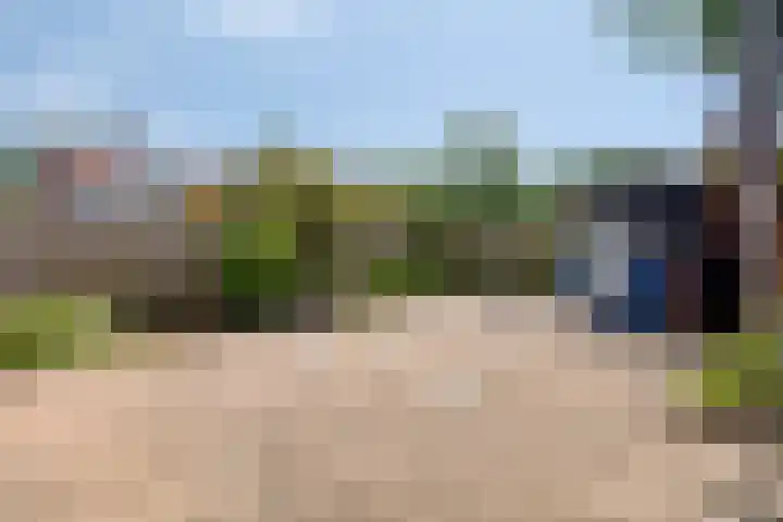 Hoefijzer 17 Zwaag thumbnail 4