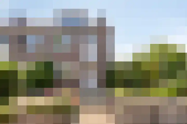 Hoefijzer 17 Zwaag thumbnail 5