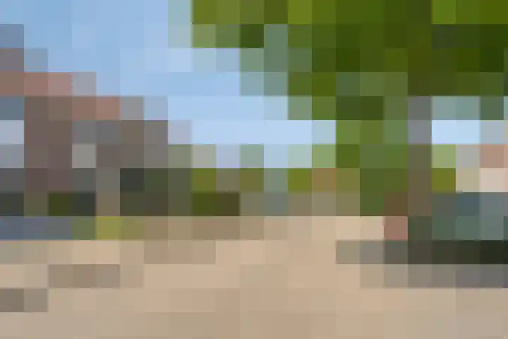Hoefijzer 17 Zwaag thumbnail 7