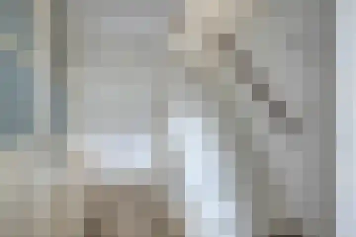 Hoefijzer 17 Zwaag thumbnail 9