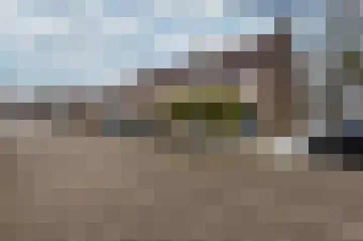 Hoefijzer 54 Zwaag thumbnail 10