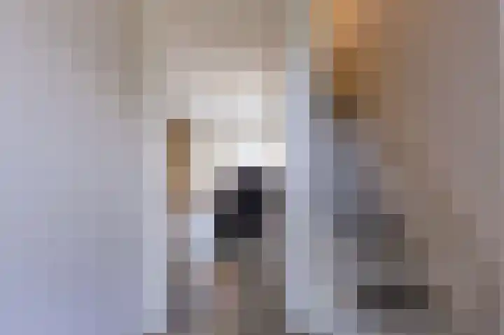 Hoefijzer 54 Zwaag thumbnail 12