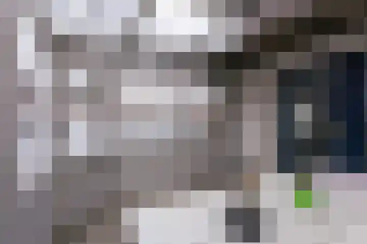 Hoefijzer 54 Zwaag thumbnail 21