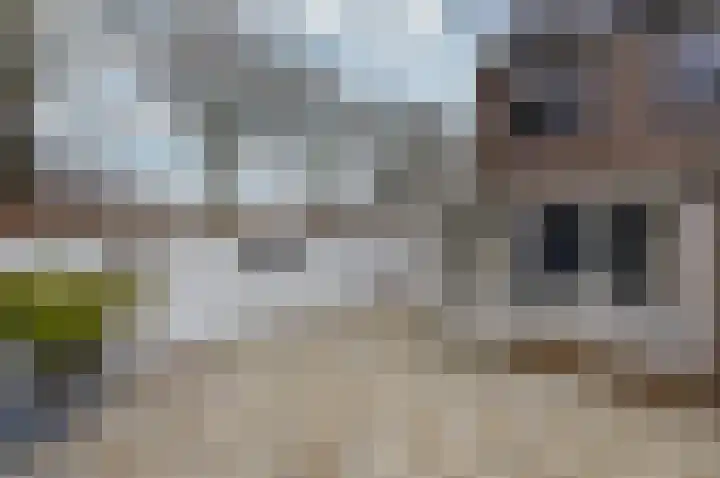 Hoefijzer 54 Zwaag thumbnail 24