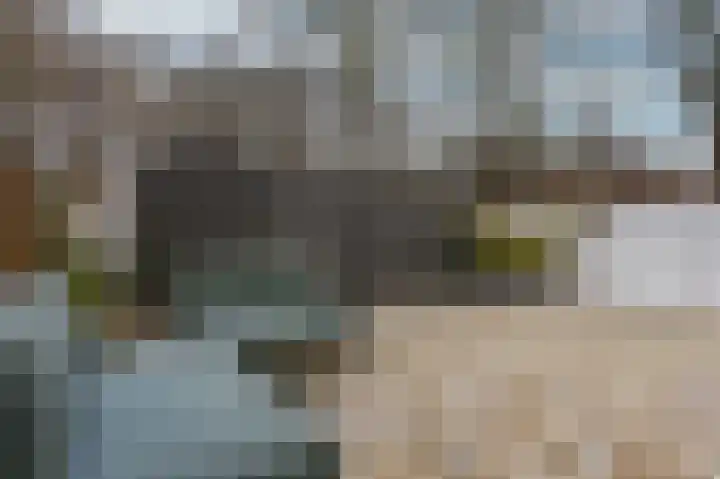 Hoefijzer 54 Zwaag thumbnail 25