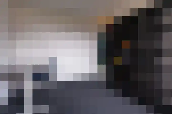 Hoefijzer 54 Zwaag thumbnail 33