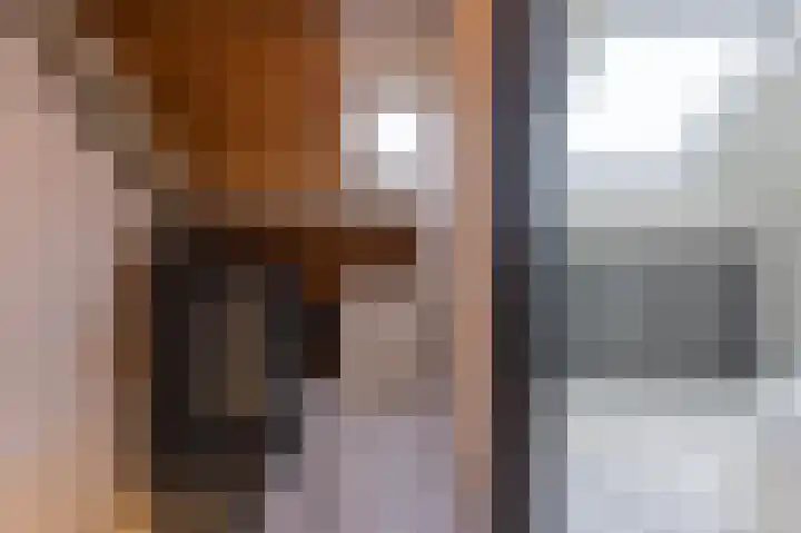 Hoefijzer 54 Zwaag thumbnail 34