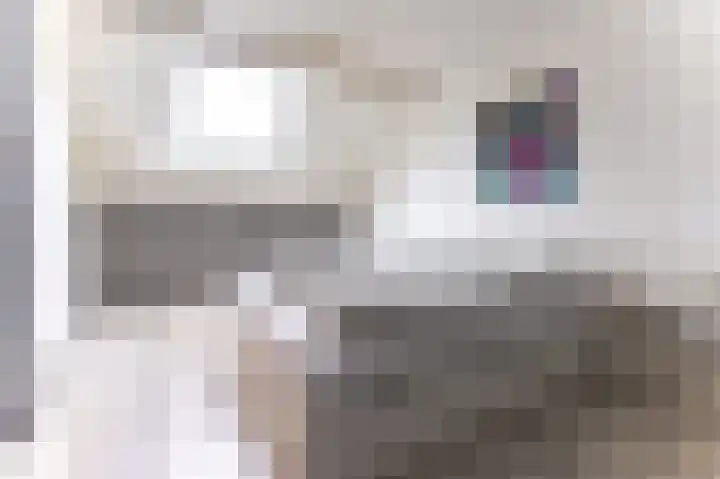 Hoefijzer 54 Zwaag thumbnail 36