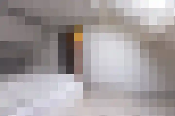 Hoefijzer 54 Zwaag thumbnail 38