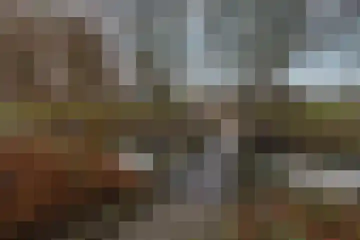 Hoefijzer 54 Zwaag thumbnail 5