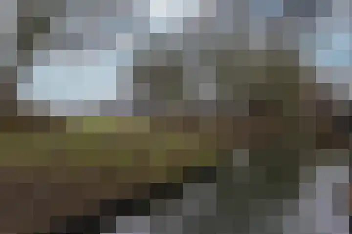 Hoefijzer 54 Zwaag thumbnail 6