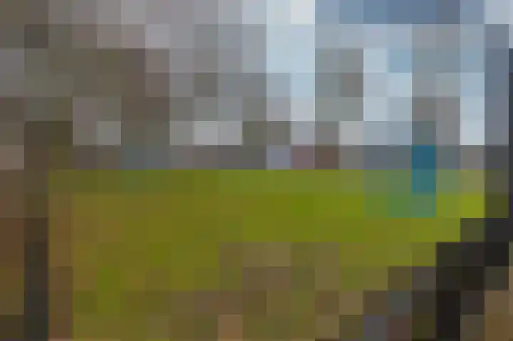 Hoefijzer 54 Zwaag thumbnail 7
