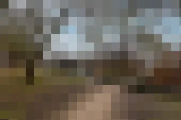 Hoefijzer 54 Zwaag thumbnail 8