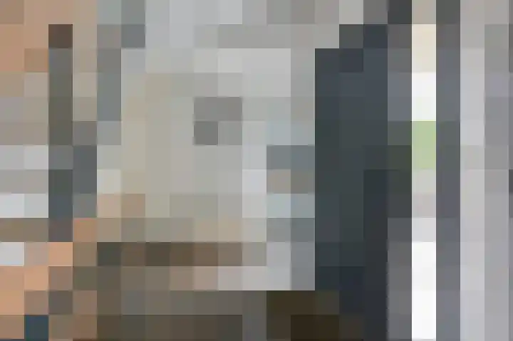 Hoefijzer 8 Didam thumbnail 14