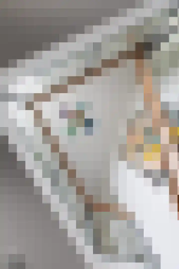 Hoefijzer 8 Didam thumbnail 15