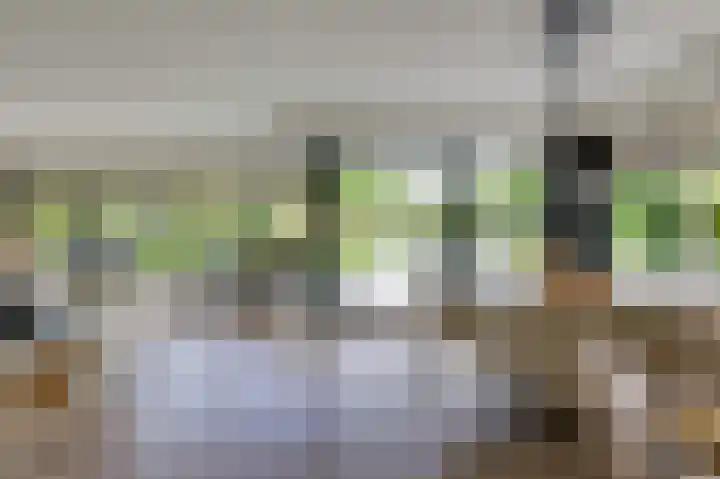 Hoefijzer 8 Didam thumbnail 17