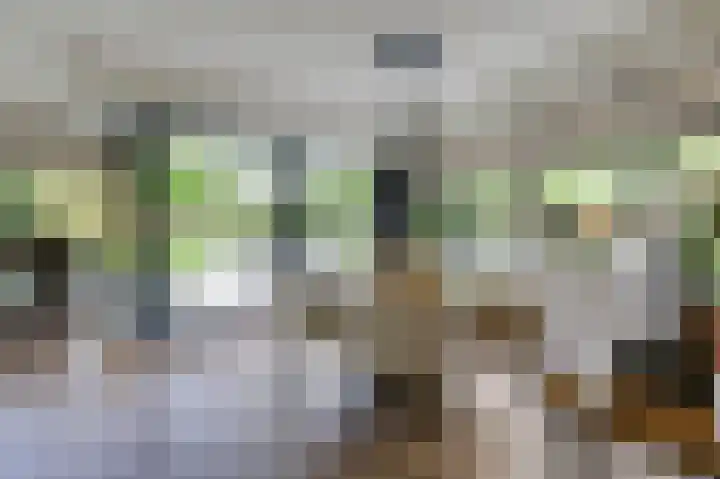 Hoefijzer 8 Didam thumbnail 18