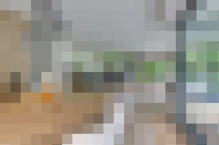 Hoefijzer 8 Didam thumbnail 20