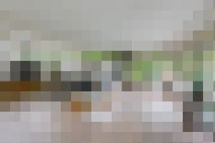 Hoefijzer 8 Didam thumbnail 21