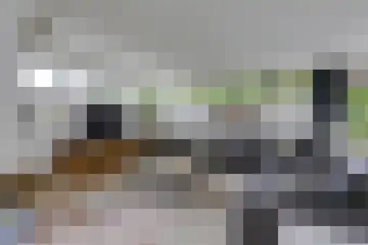 Hoefijzer 8 Didam thumbnail 22