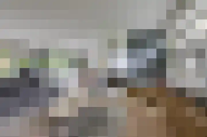 Hoefijzer 8 Didam thumbnail 25