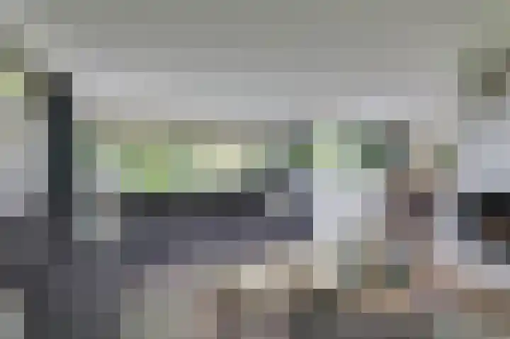 Hoefijzer 8 Didam thumbnail 26