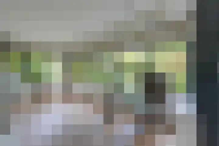 Hoefijzer 8 Didam thumbnail 27