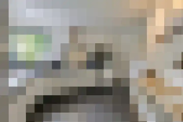 Hoefijzer 8 Didam thumbnail 29