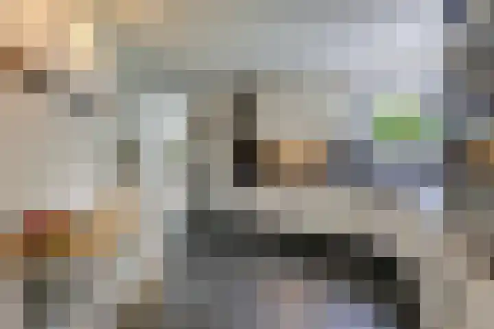 Hoefijzer 8 Didam thumbnail 31