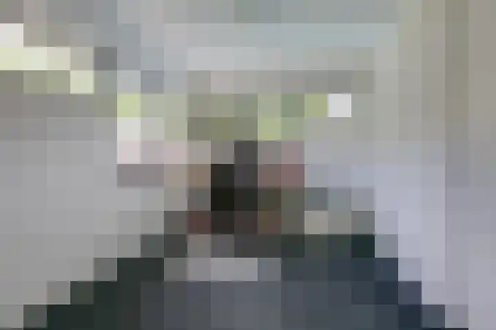 Hoefijzer 8 Didam thumbnail 33