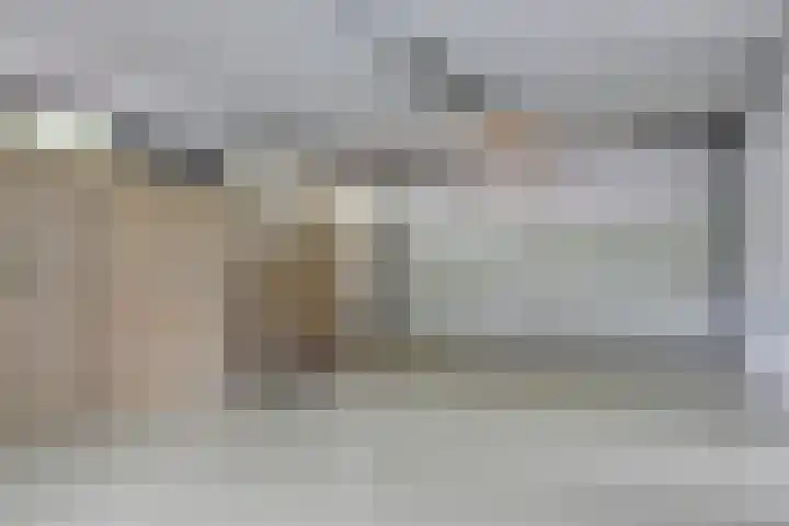 Hoefijzer 8 Didam thumbnail 34