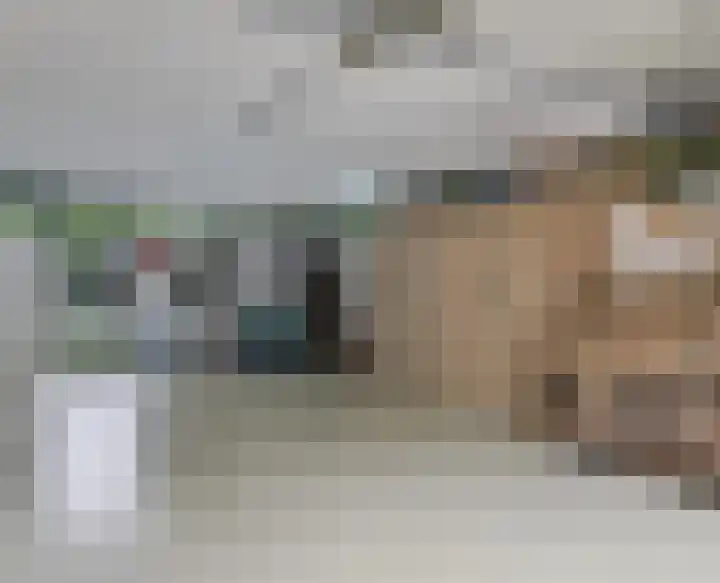Hoefijzer 8 Didam thumbnail 37