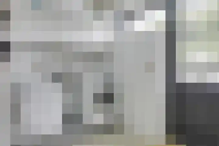 Hoefijzer 8 Didam thumbnail 38