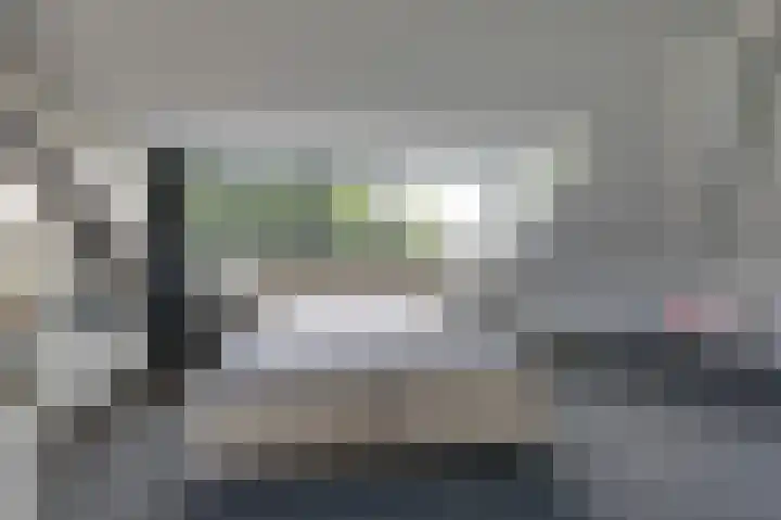 Hoefijzer 8 Didam thumbnail 43