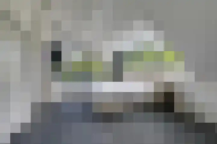 Hoefijzer 8 Didam thumbnail 45