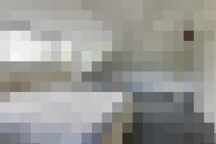 Hoefijzer 8 Didam thumbnail 47