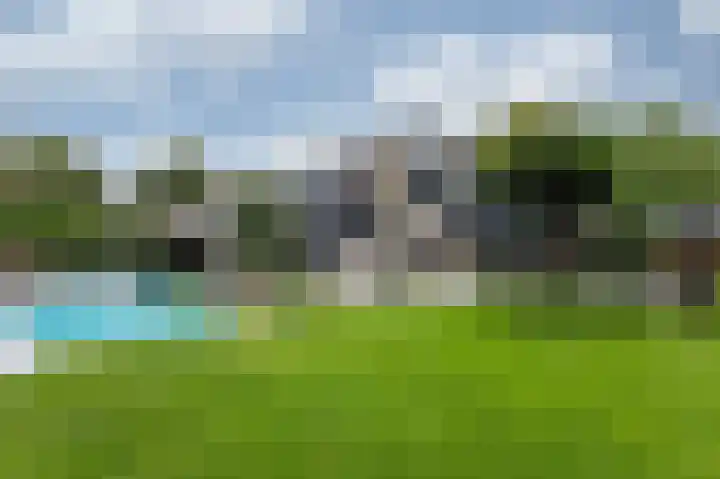 Hoefijzer 8 Didam thumbnail 5
