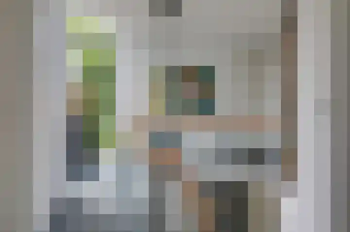 Hoefijzer 8 Didam thumbnail 50