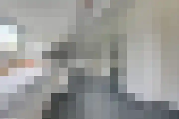 Hoefijzer 8 Didam thumbnail 53