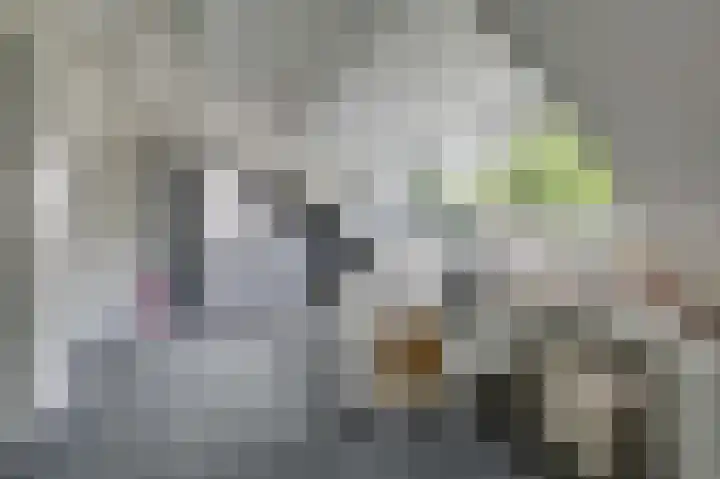 Hoefijzer 8 Didam thumbnail 54