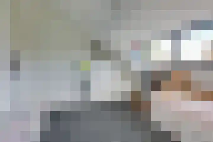 Hoefijzer 8 Didam thumbnail 58