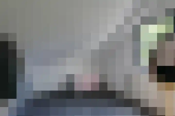 Hoefijzer 8 Didam thumbnail 59