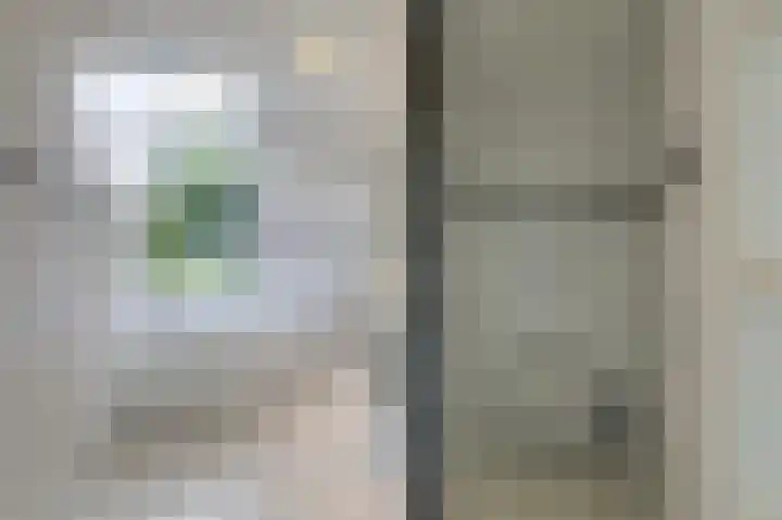 Hoefijzer 8 Didam thumbnail 61