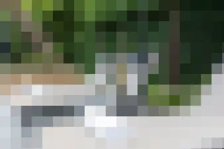 Hoefijzer 8 Didam thumbnail 67